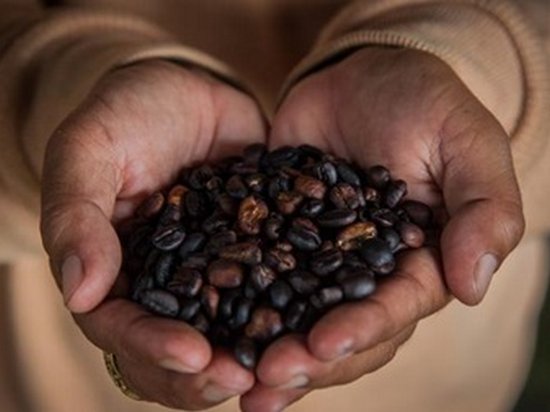Впервые в свей истории Бразилия импортирует кофе