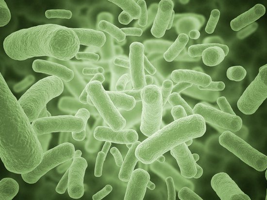 Врачи бьют тревогу: супербактерии начали выходить из-под контроля