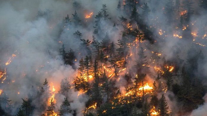 Масштабные лесные пожары в Канаде: эвакуированы несколько тысяч жителей