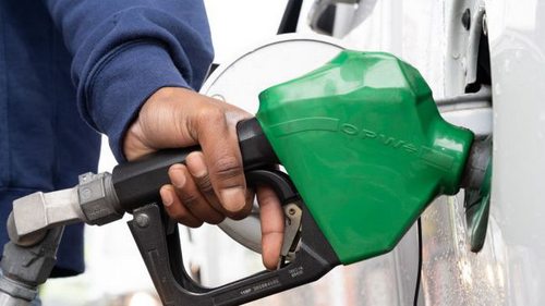 Цены снижаются: сколько стоят бензин, дизель и автогаз на АЗС