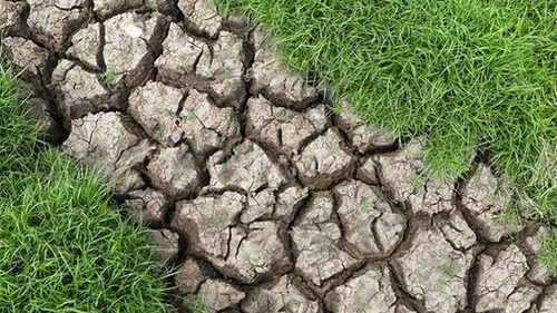 Южная Европа готовится к свирепой засухе, фермеры ожидают худших урожаев за десятилетие