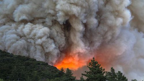 Для тушения крупнейших в истории лесных пожаров в Канаде привлекли армию