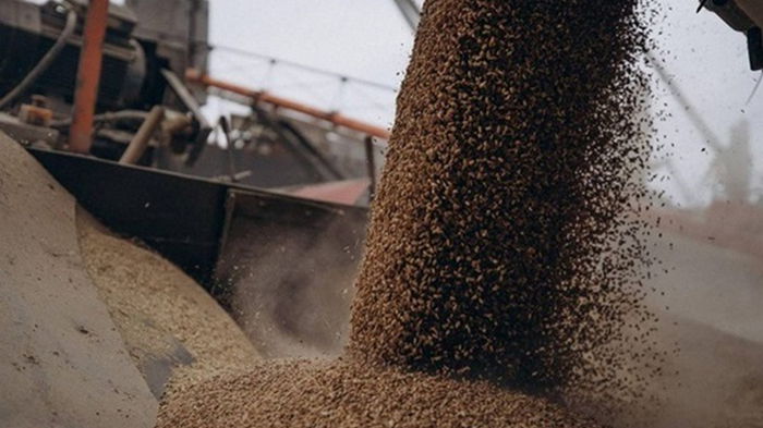 Румыния будет просить продлить ограничения на импорт зерна из Украины — СМИ