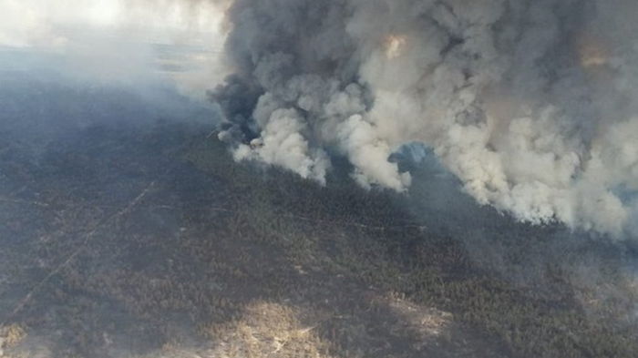 В Казахстане масштабный лесной пожар