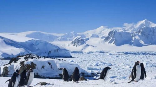Ученые рассказали, что на самом деле таится подо всем полярным льдом