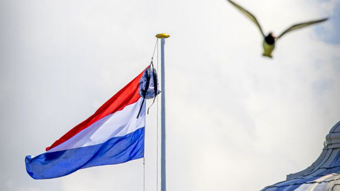 Нидерландским чиновникам запрещено пользоваться ВКонтакте, TikTok и AliExpress, — СМИ