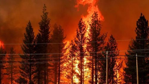 Ученые рассказали, как в будущем изменятся лесные пожары — прогнозы тревожны