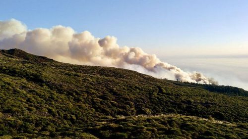 Лесной пожар на Канарах. С острова эвакуировали более 4000 человек