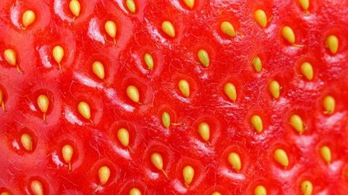 Ученые уверяют, что клубника вовсе не ягода, а белые точки на ней — не семена