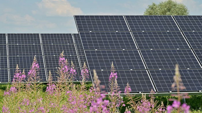 Испания в июле произвела рекордные 24% своей электроэнергии за счет солнца
