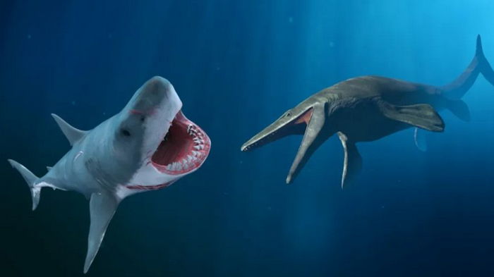 Смертельная схватка 20-метровых чудищ: острые зубы Мегалодона против мощных челюстей Мозазавра