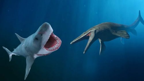 Смертельная схватка 20-метровых чудищ: острые зубы Мегалодона против мощных челюстей Мозазавра