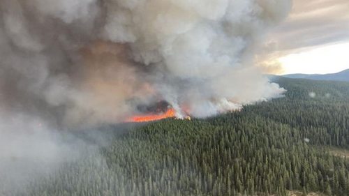 Лесные пожары в Канаде в этом году охватили территорию больше Болгарии