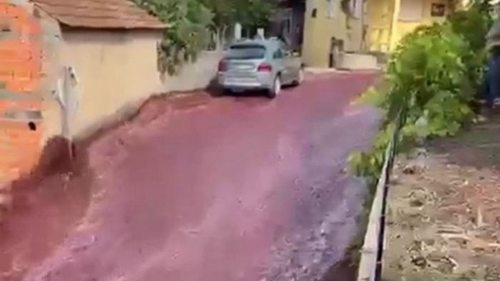 В Португалии улицы города затопили миллионы литров вина