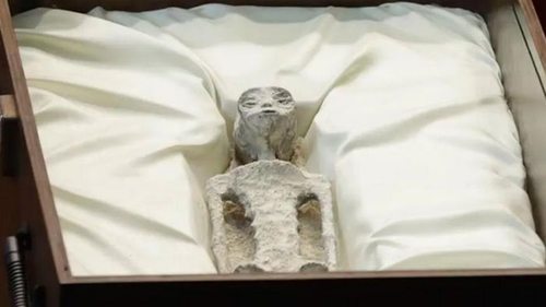 В Конгрессе Мексики показали мумии «инопланетян» (видео)