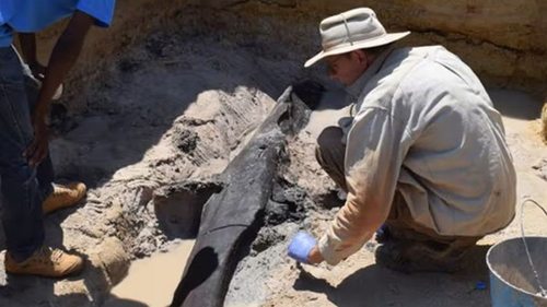В Африке археологи нашли деревянную конструкцию, которой почти 500 тыс...