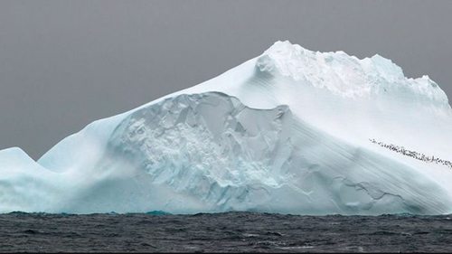 Разбудили гиганта Антарктики: ученые предупреждают о проблемах на Южно...