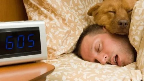 Залог бодрости и продуктивности: ученые раскрыли способы добиться идеального сна