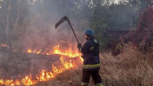 Украинцев предупредили о чрезвычайном уровне пожарной опасности