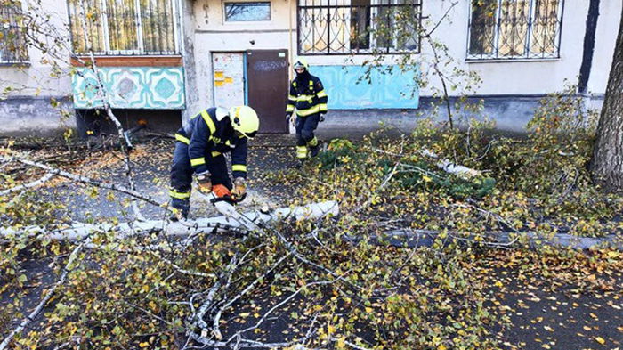 В Киеве выросло количество погибших в результате непогоды