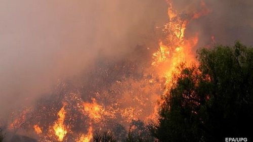 В Австралии бушуют 53 лесных пожара: эвакуированы 200 человек, есть погибший