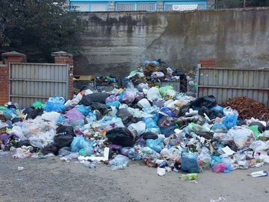 Китай построит Львову завод для мусора