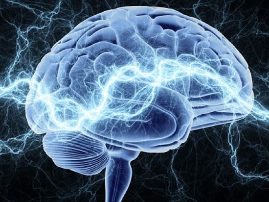 Ученые из Канады узнали, что происходит с человеческим мозгом после смерти