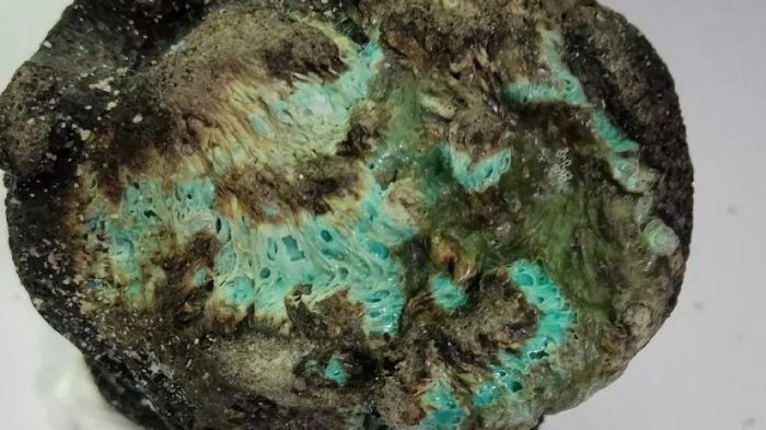 На Земле появился новый вид минералов – пластиковые камни: их можно найти уже по всему миру