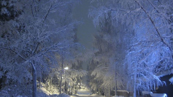 Неожиданно потеплеет до +14: прогноз погоды в Украине на завтра