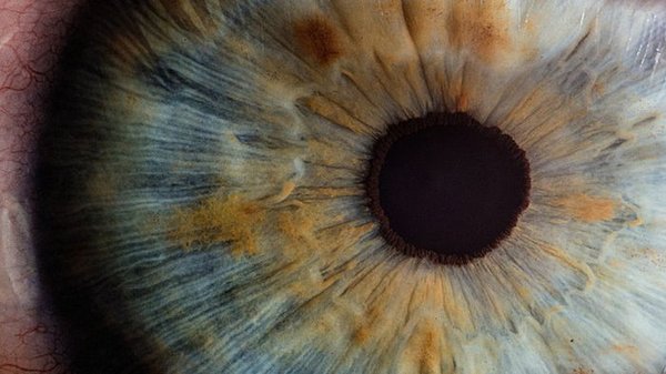 Самая бесполезная способность в мире: врач рассказал об уникальной особенности наших глаз