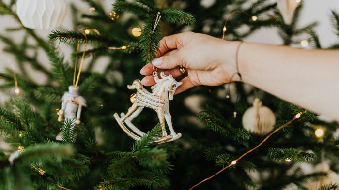 Настоящая или искусственная: ученые рассказали, какую новогоднюю елку стоит выбрать и почему