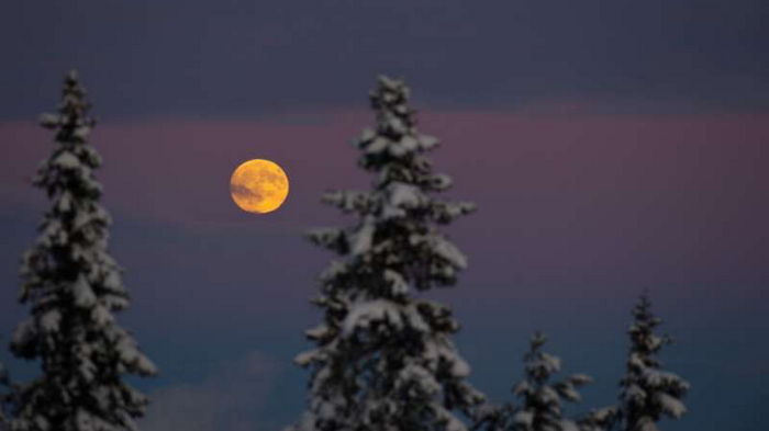 Благоприятные и неблагоприятные дни по фазам Луны: лунный календарь на январь 2024 года