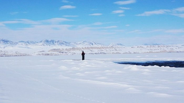 Тревожный сюрприз. В арктическом снегу нашли остатки солнцезащитного крема: как это произошло
