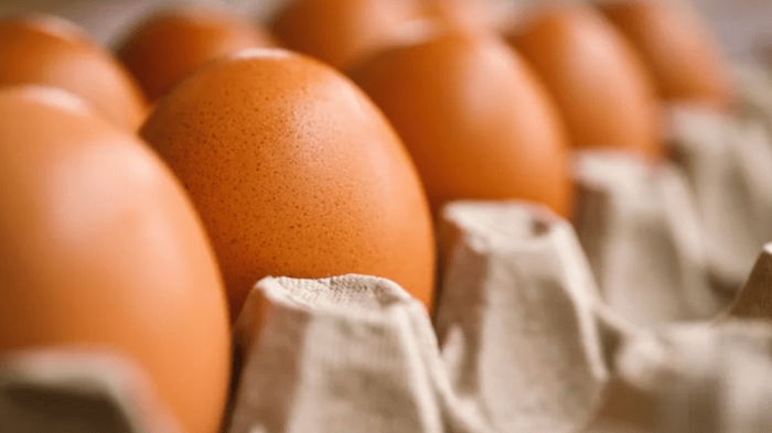 Универсальный укрепляющий завтрак: диетологи рассказали о пользе яиц для организма