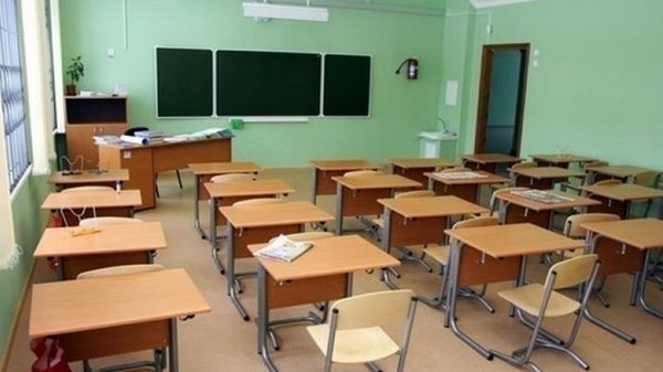 В Винницкой области более 180 школ перешли на дистанционное обучение из-за гриппа