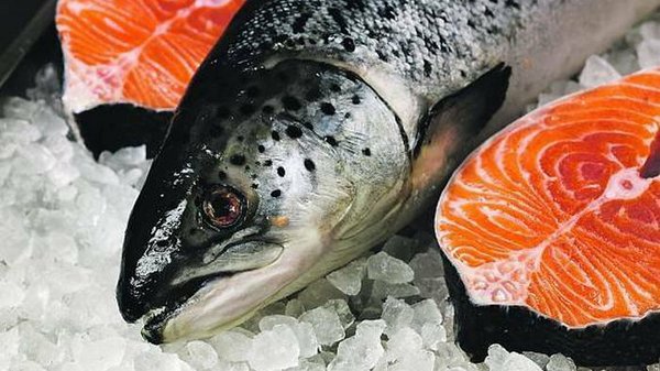 Четыре «волшебных» ингредиента: почему лосось является идеальной пищей для сердечников