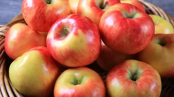 Укрепят сердце и кишечник: диетологи рассказали о пользе яблок для нашего здоровья