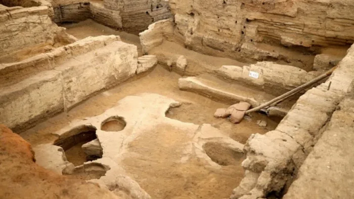 Ему 8600 лет: в Турции обнаружили самый старый хлеб в мире (фото)