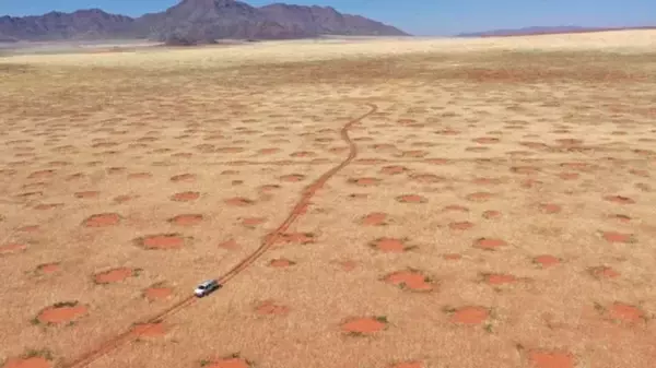 Загадочные «круги смерти» в пустыне Намиб: любая жизнь, зародившаяся в них, умрет за 10-20 дней