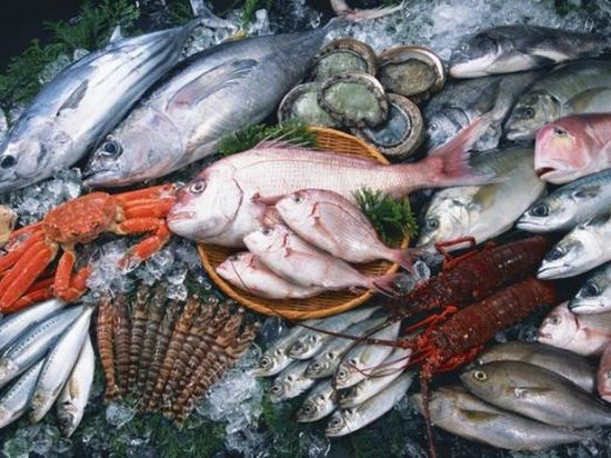 Через 30 лет в Мировом океане не останется рыбы