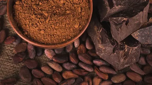 Один из ведущих трейдеров считает, что в мире могут полностью закончиться запасы какао