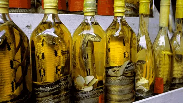 Змеиное вино из Вьетнама