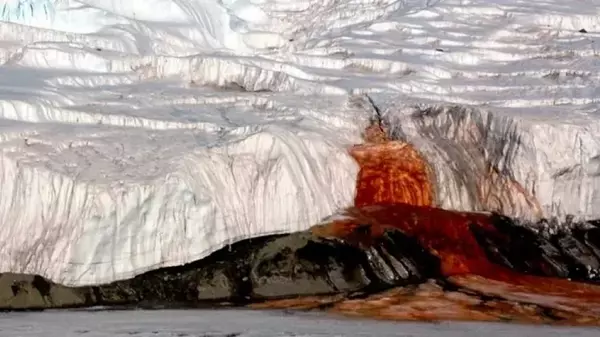 Тайна Кровавого водопада: почему время от времени Антарктида истекает «кровью»