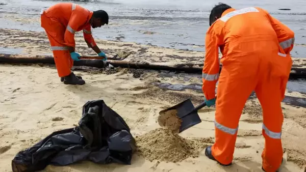У побережья Сингапура произошел разлив нефти, угрожающий морскому заповеднику