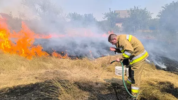 В Николаевской области вспыхнул масштабный пожар