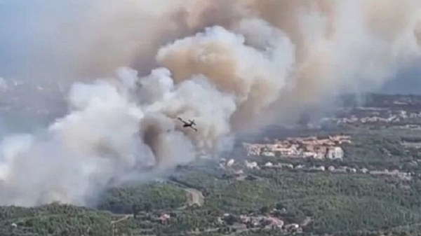 В трех странах Европы бушуют лесные пожары (видео)