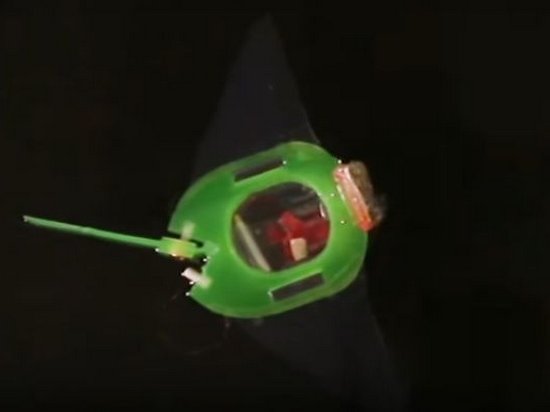 Китайцы разработали рыбу-робота (видео)