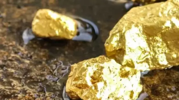 Достать все золото из мантии Земли: ученые нашли неиссякаемую золотую жилу