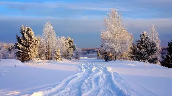 Известный синоптик сообщила, сколько еще в Украине будут держаться морозы