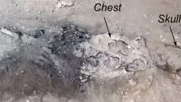 Единственный раз в истории Земли: извержение Везувия превратило мозг человека в стекло (видео)